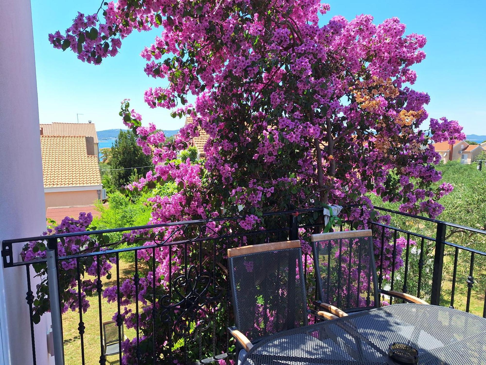 Apartments Vodopija 300M To The Beach スベティ・フィリップ・イ・ヤコブ 部屋 写真