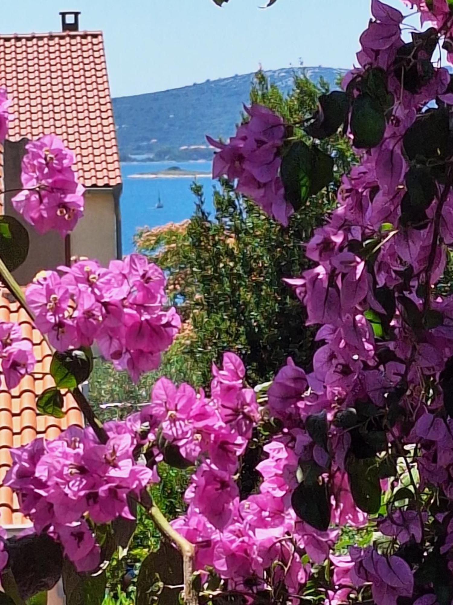 Apartments Vodopija 300M To The Beach スベティ・フィリップ・イ・ヤコブ 部屋 写真